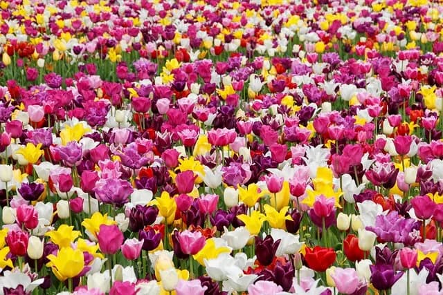 Les meilleurs meubles de jardin pour votre extérieur